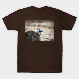 "White-Breasted Nuthatch" T-Shirt